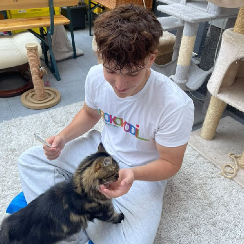 placeholder image-sq