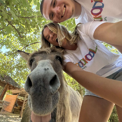 placeholder image-sq